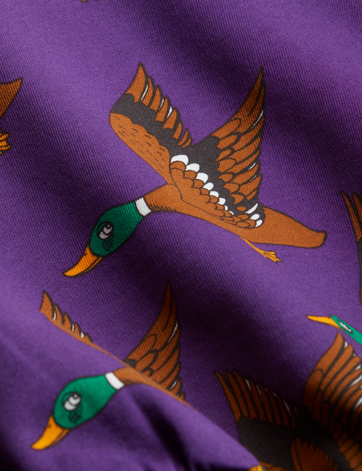 Ducks aop Sweatshirt purple
