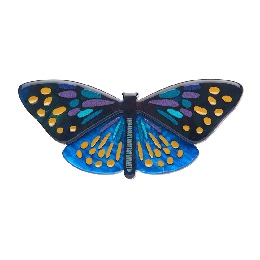 Set Yourself Free Butterfly Brooch
