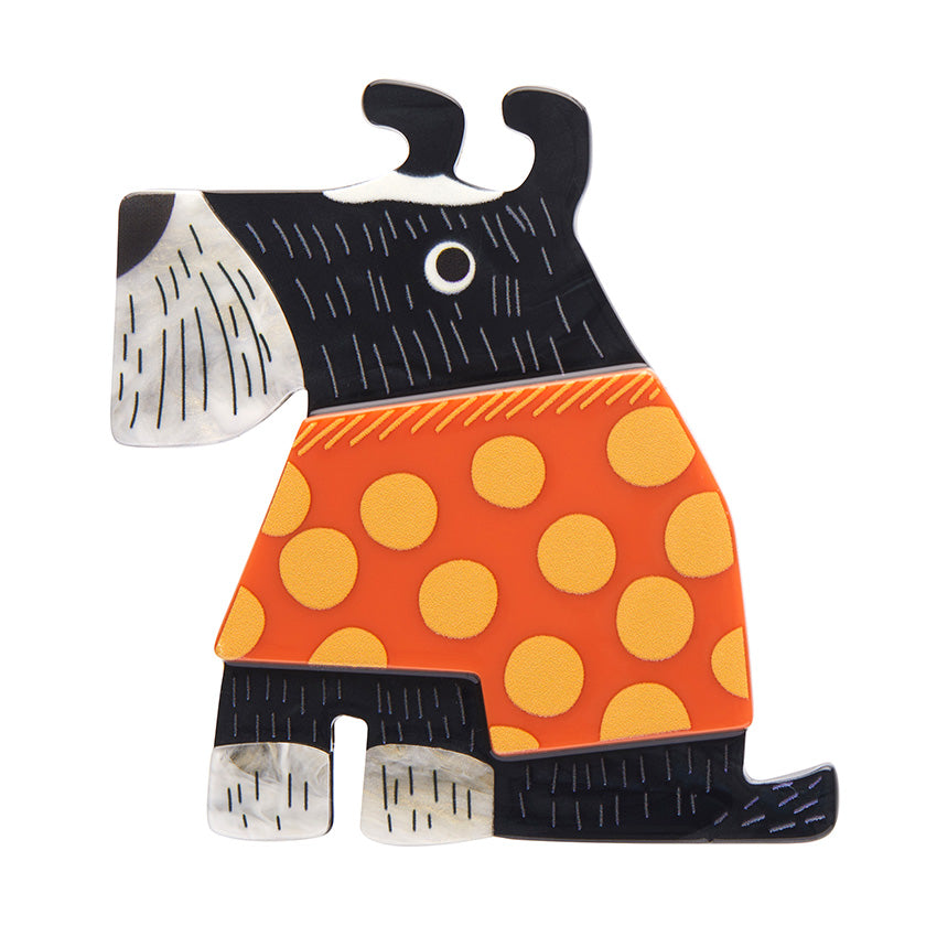 Whiskered Snout Brooch