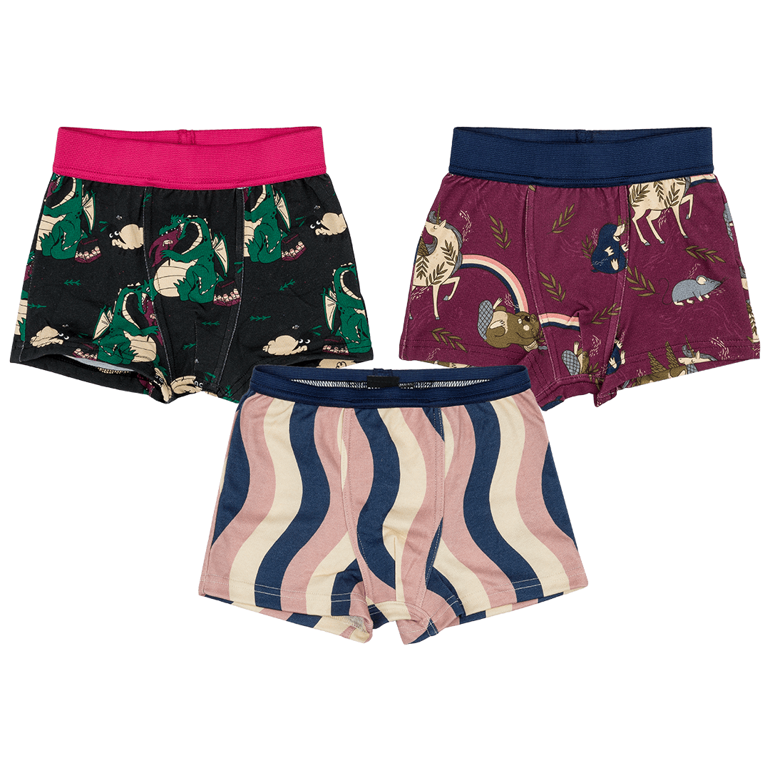 Veggie Dragon, Unicorn Crew, Angel Hair Boxers Set of 3