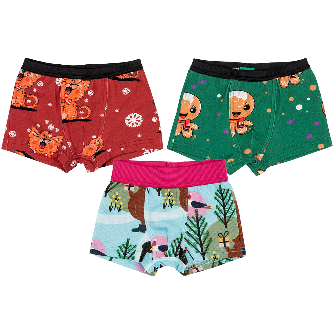 Winter Wonderland, Hello Ginger!, Meow Meow,  Boxers Set of 3