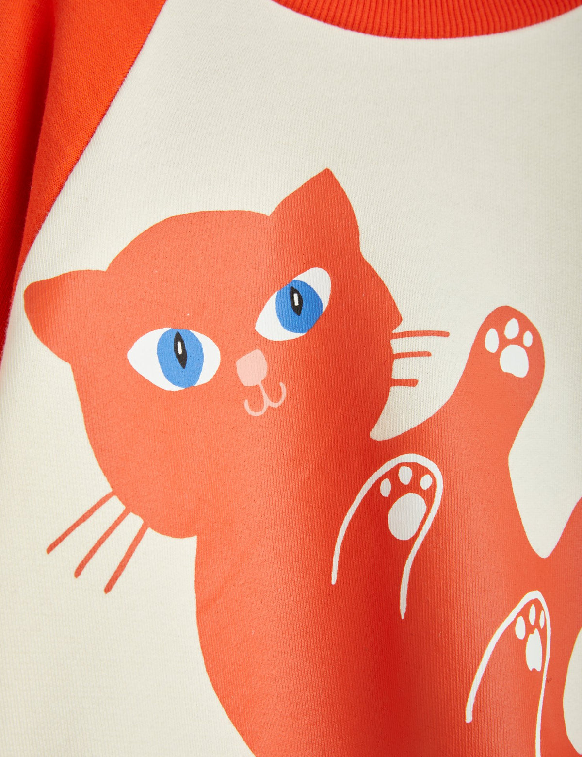 Baby Cat Sweatshirt red